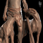 El chico & los galgos.
