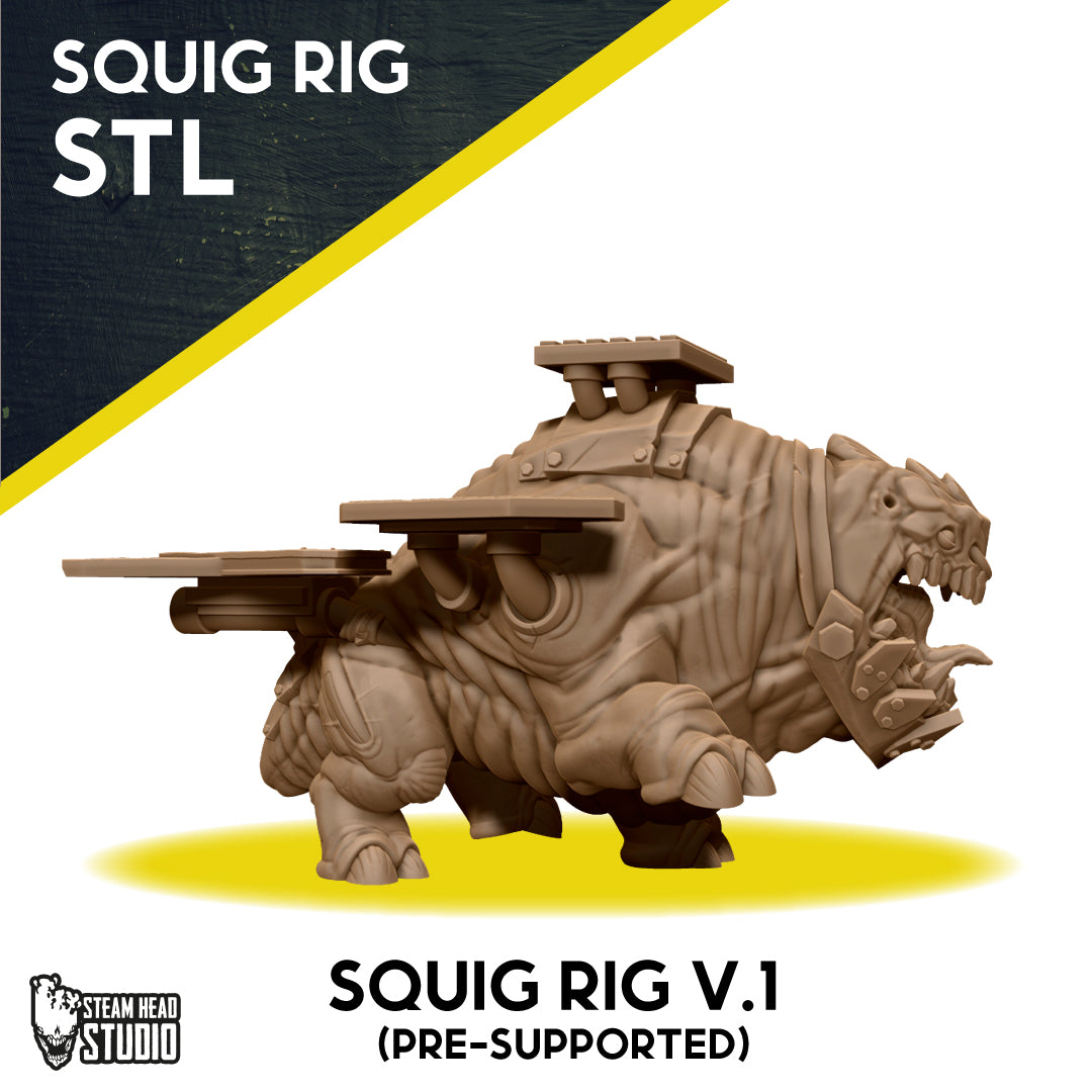 SQUIG RIG V.1