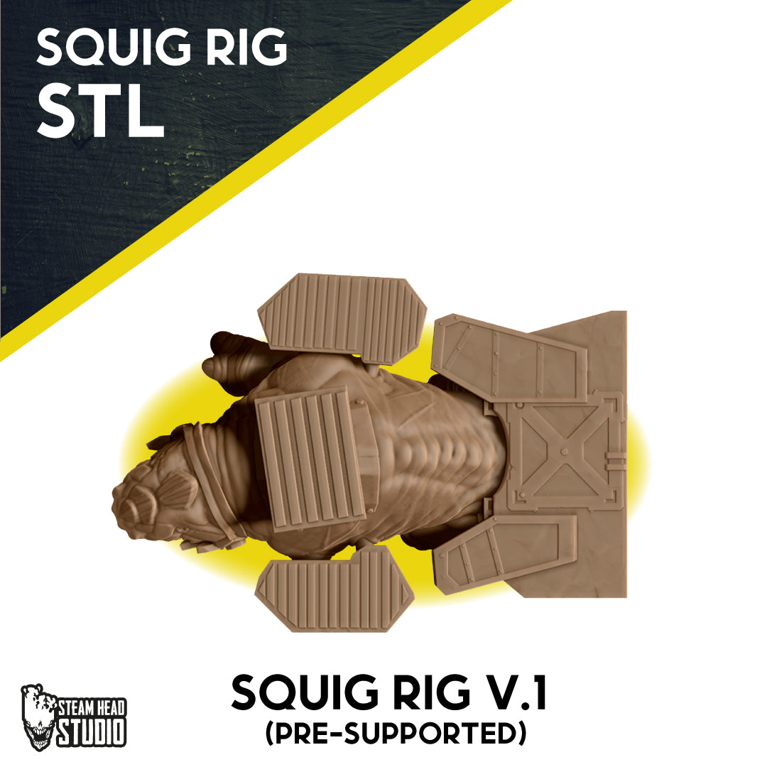 SQUIG RIG V.1